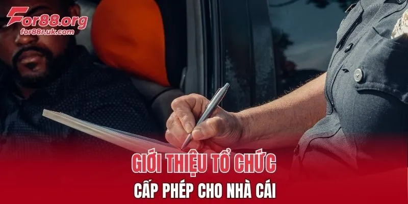 Vài thông tin về tổ chức cấp phép